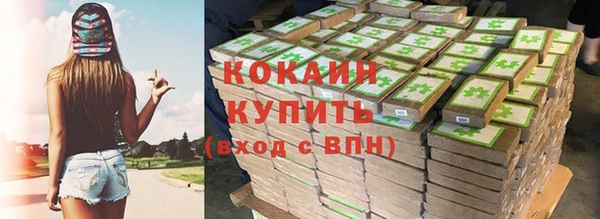 дмт Сатка