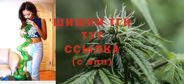 дмт Сатка