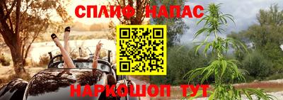 гидропоника Тара