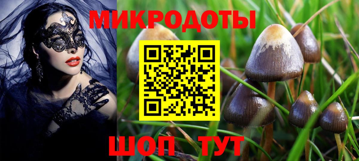 Псилоцибиновые грибы MAGIC MUSHROOMS Пенза